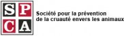 SPCA Montréal