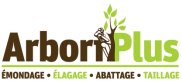 Arbori Plus