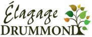 Élagage Drummond
