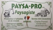 Paysa-Pro