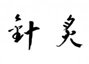 Acupuncture Sylvain Audet