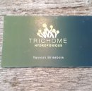 Trichome Hydroponique