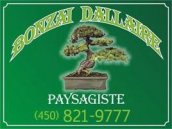 Bonzai Dallaire Paysagiste