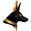 Toilettage Création Canine