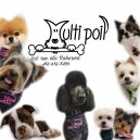 Salon de toilettage Multi Poil