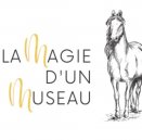 La Magie d'un Museau - Zoothérapie