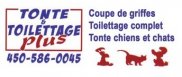 Tonte et Toilettage Plus