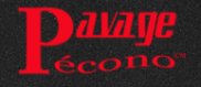 Pavage Econo Inc
