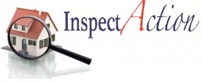 Inspectaction Inspectaction