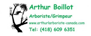 Arthur l'Arboriste. Grimpeur, Emondeur