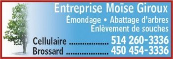 Entreprise  Emondage Moïse Giroux