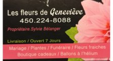 Les Fleurs de Geneviève