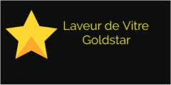 Laveur de Vitre Goldstar