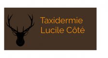 Taxidermie Lucile Côté