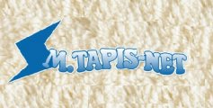 Monsieur Tapis-Net