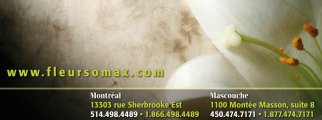 FLEURS-O-MAX INC