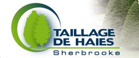TAILLAGE DE HAIES SHERBROOKE