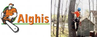 Alghis Inc (Abattage)