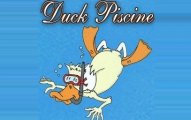 Duck Piscine