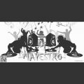 DJ MAYESTRO