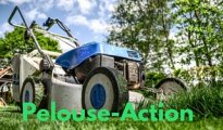 Pelouse-Action
