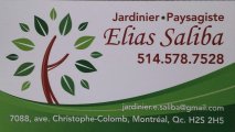 Entretien Paysager Elias Saliba Enr