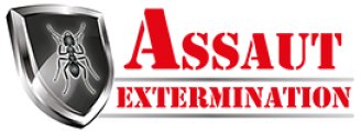 Assaut Extermination Assaut Extermination