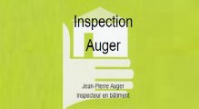 Inspection Auger