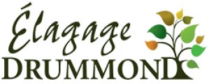 Élagage Drummond