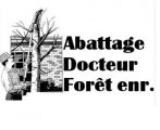 Abattage Docteur Forêt Enr