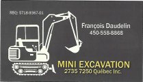 Mini Excavation - François Daudelin