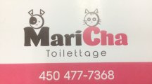 Toilettage MariCha