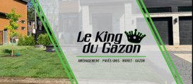 Le King du Gazon Mag Inc.