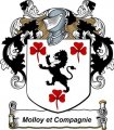 Molloy & Compagnie