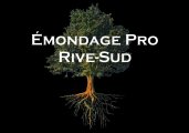 Émondage Pro Rive-Sud