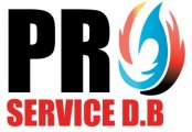 Ramonage Pro Service D.B