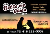 UNE BELLE VIE DE CHIEN - Garderie Canine ÉDUCATRICE CANINE SYLVIE BÉRUBÉ