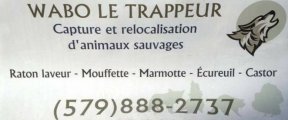 Extermination Wabo le Trappeur