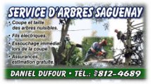 Service d'Arbres Saguenay