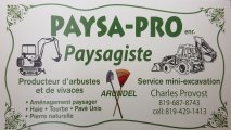 Paysa-Pro