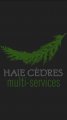 Haie Cèdres Multi-Services