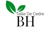 Taille de Cedres BH