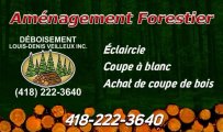 Déboisement Louis-Denis Veilleux Inc