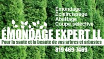 Émondage Expert L.L