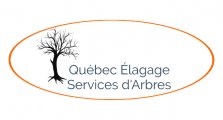 Québec Élagage - Services d'Arbres