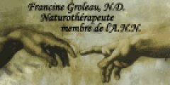 Francine Groleau Massotherapeute (Secteur A Brossard)