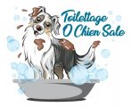 Toilettage O Chien Sale Toilettage O Chien Sale