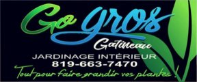 Go Gros Gatineau Go Gros Gatineau