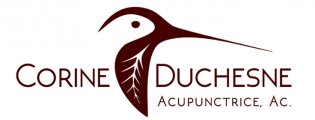 Acupuncture Corine Duchesne