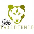 Joe Taxidermie